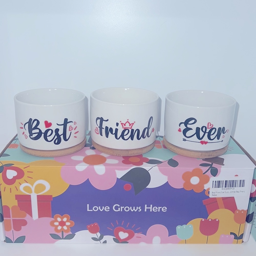 NIB 6 piece ceramic “Best Friend Ever” flower plant pots Coadters